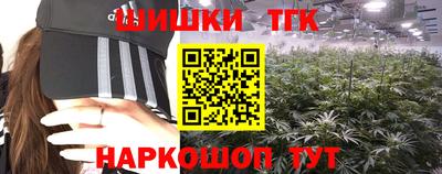 СК Кандалакша