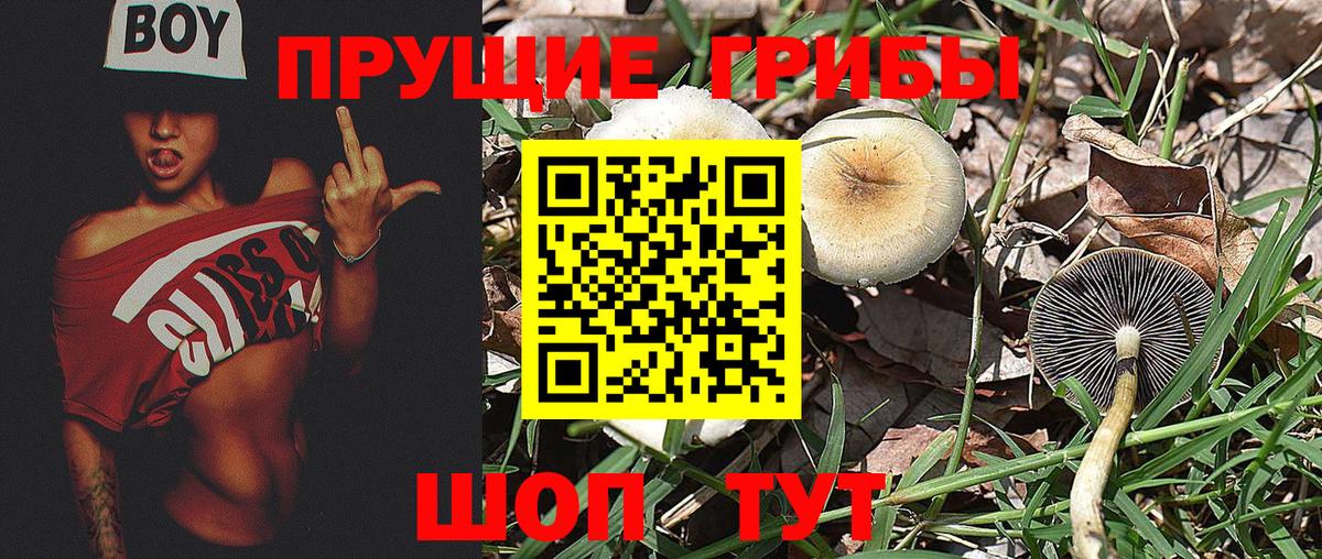 Псилоцибиновые грибы мухоморы Россошь